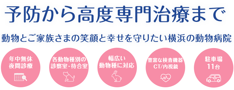 予防から高度専門治療まで